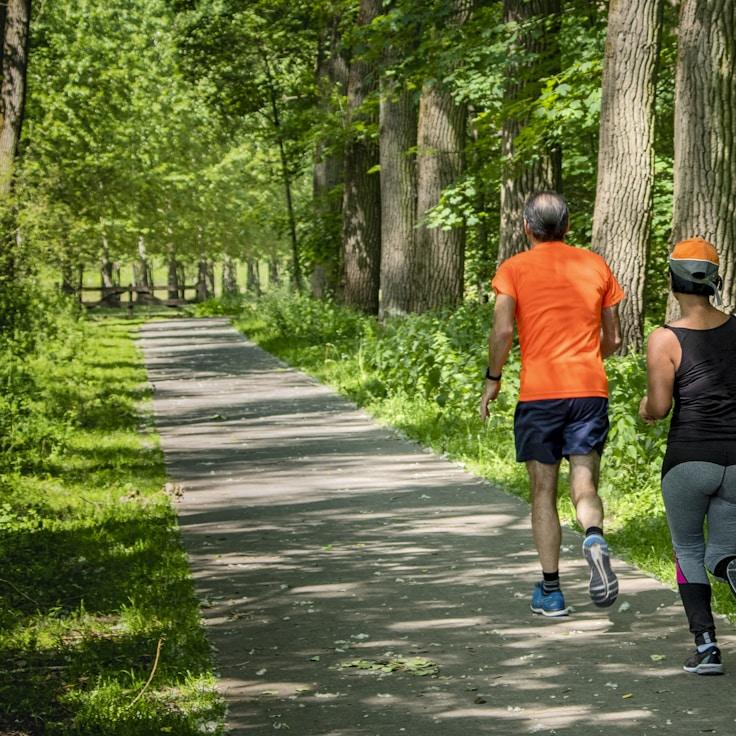 Wellness and recovery gym facilities