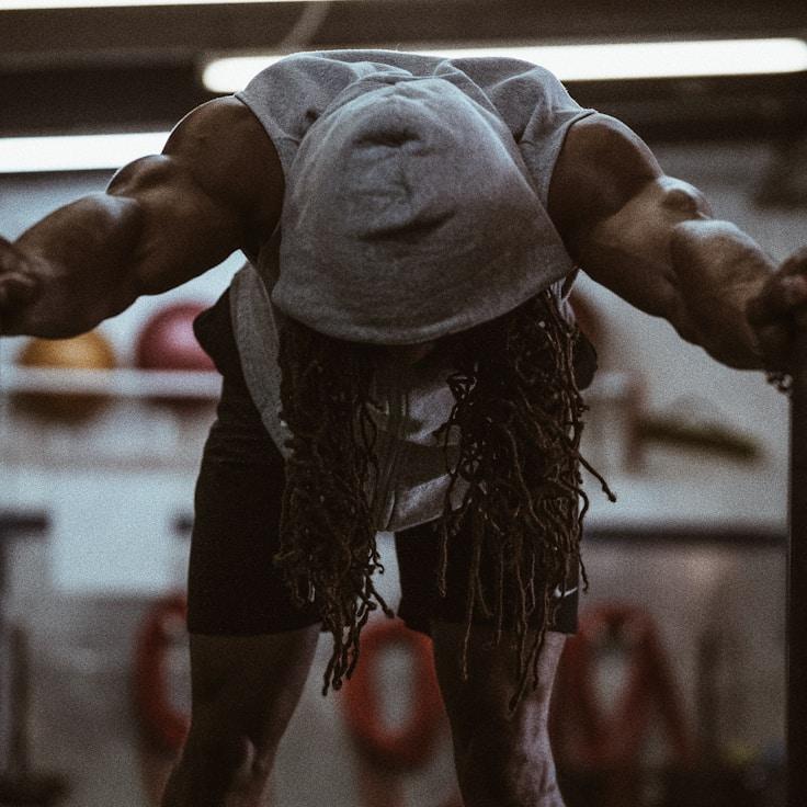 Modern gym equipment in a refined fitness space